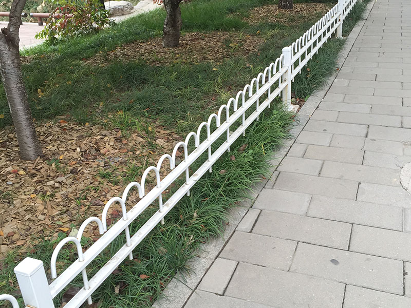 ��ƺ�o�ڽ�B