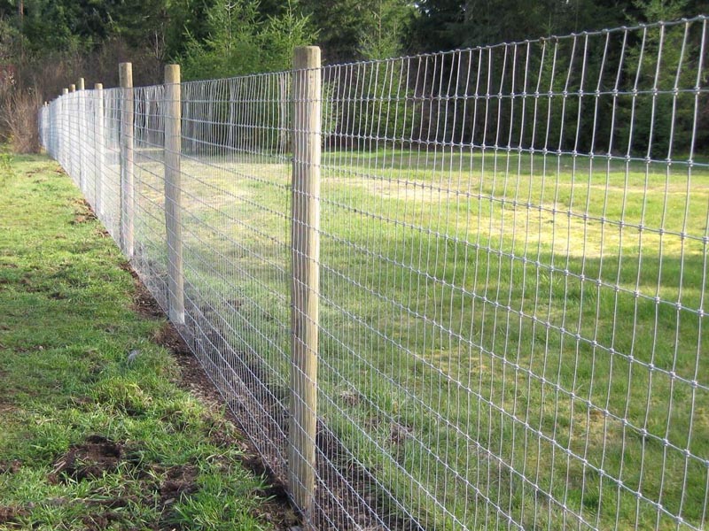 ��ԭ�o(h��)�ھW(w��ng)